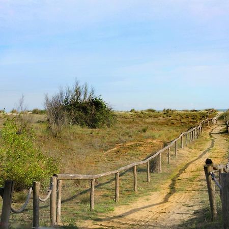 קוואלינו-טראפורטי Natura מראה חיצוני תמונה